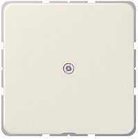 Вывод кабеля без рамки Jung CD500 слоновая кость картинка